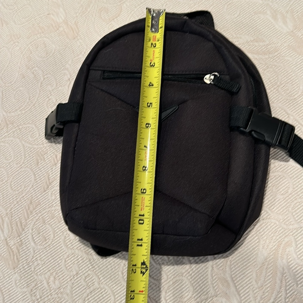 2 for $20! Mini backpack! - Picture 5 of 7